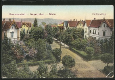 AK-Hermannstadt-Nagyszeben-Sibiiu. Haller-Wiese.jpg