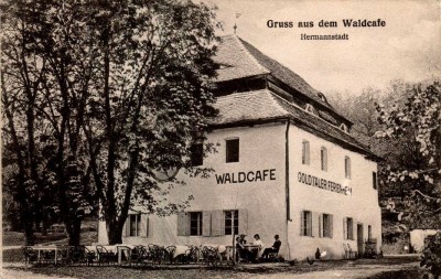 Goldtaler Ferienheim. Der Waldcaf.Cabana Valea Aurie.jpg